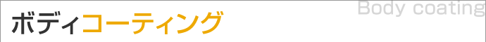 ボディコーティング